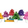 AKP Artificial Plants with Pot for Home Decoration Small Size ( Pack of 6 ) (Round Pot)