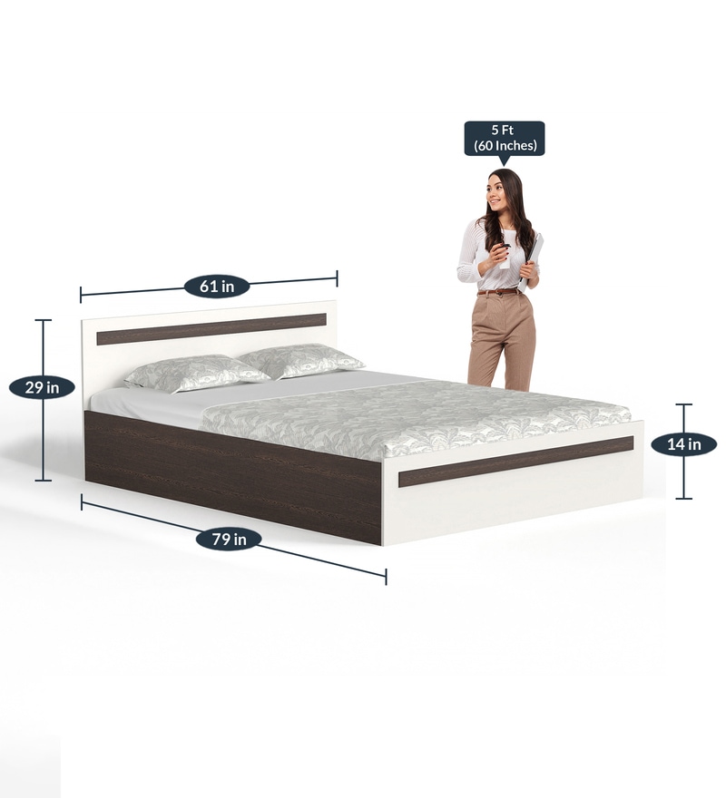 maltein-queen-size-bed-with-storage-in-wenge-white-colour-by-bluewud-maltein-queen-size-bed-with-s-ya2u13.jpg